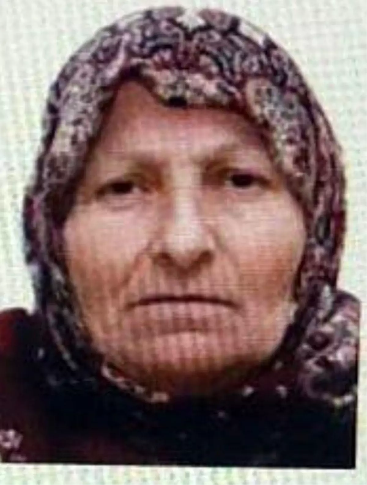 Bilecik’te Kaybolan 67 Yaşındaki Kadın Jandarma Tarafından Güvenli Şekilde Bulundu