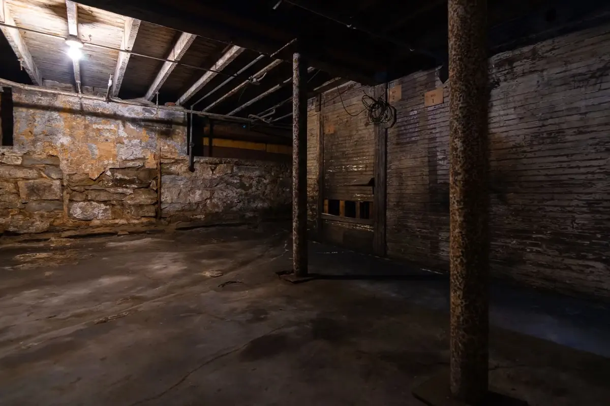 Bodrumundan Gelen Sesler Hırsız Sandı, Gerçekte 200 Kilo Dev Ayı Çıktı!