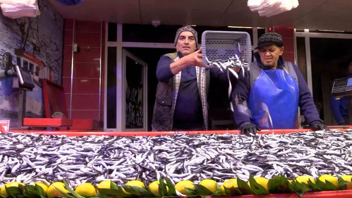 Bolu’da Hamsi Fiyatı 150 Liraya Düştü, Vatandaşlar Yoğun İlgi Gösteriyor