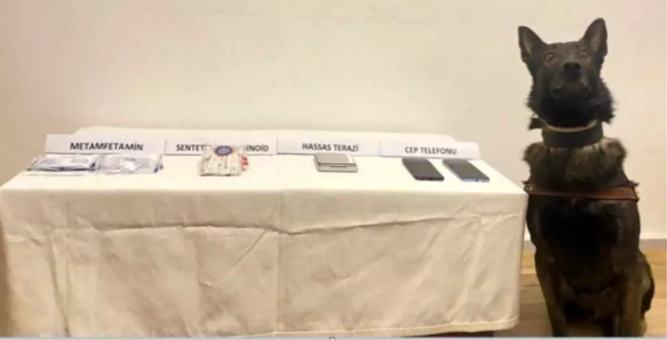 Bolu’da Uyuşturucu Operasyonu: Jandarma 11,1 Gram Metamfetamin ve Bonzai Ele Geçirdi