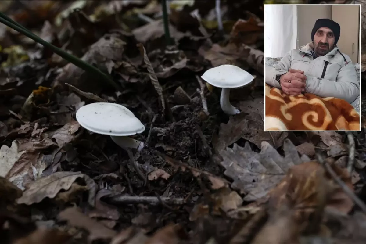 Pazardan Aldığı Mantarla Zehirlenen Adamdan Uyarı