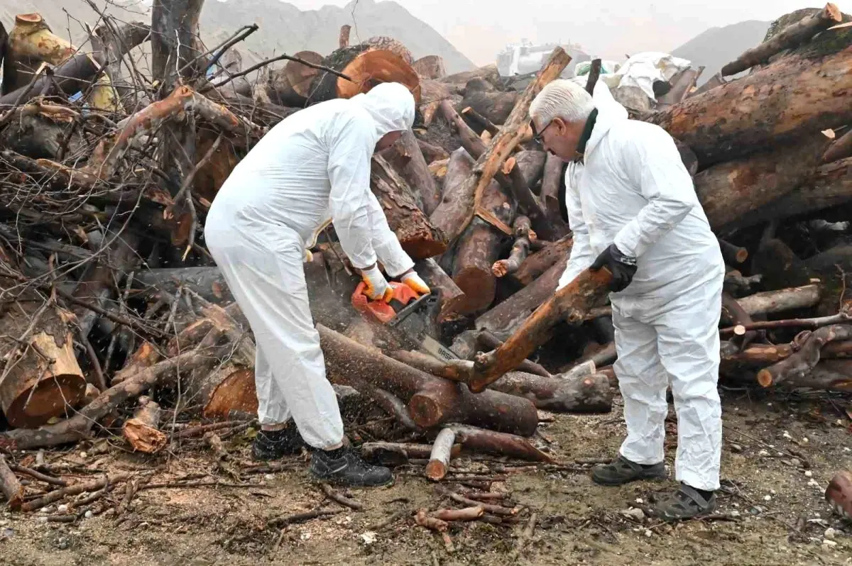 Budanan Ağaç Dalları İhtiyaç Sahiplerini Isıtıyor: Manisa’da Kış Destek Projesi