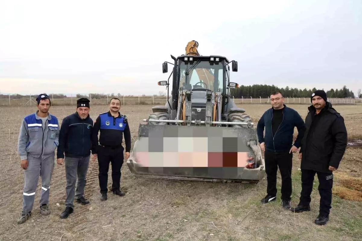 Çifteler’de 215 kilogram kaçak at eti ele geçirildi