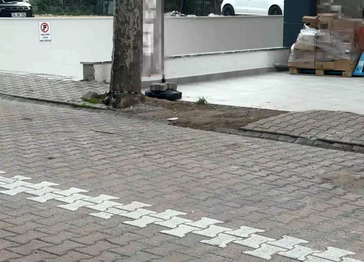 Kargo Poşetinde 60 Bin Dolar Bulundu