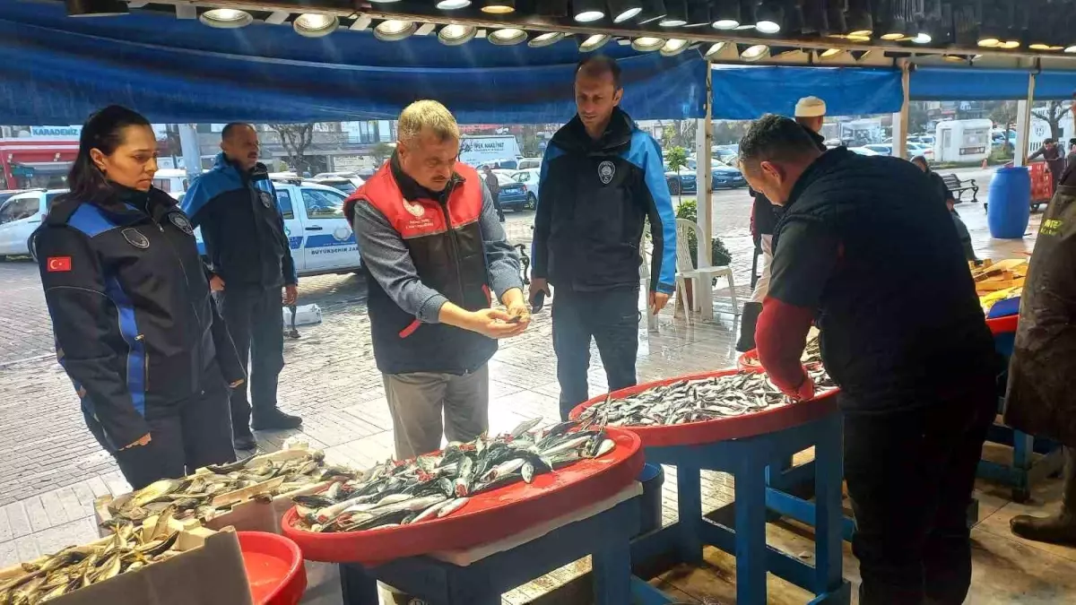 Balıkesir’de Uskumru İddialarına Hızlı Denetim!
