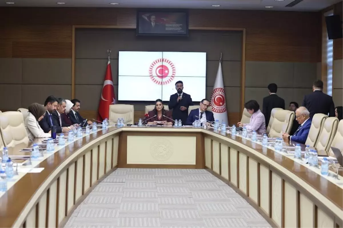 Engelli Sorunları TBMM Komisyonunda Ele Alındı