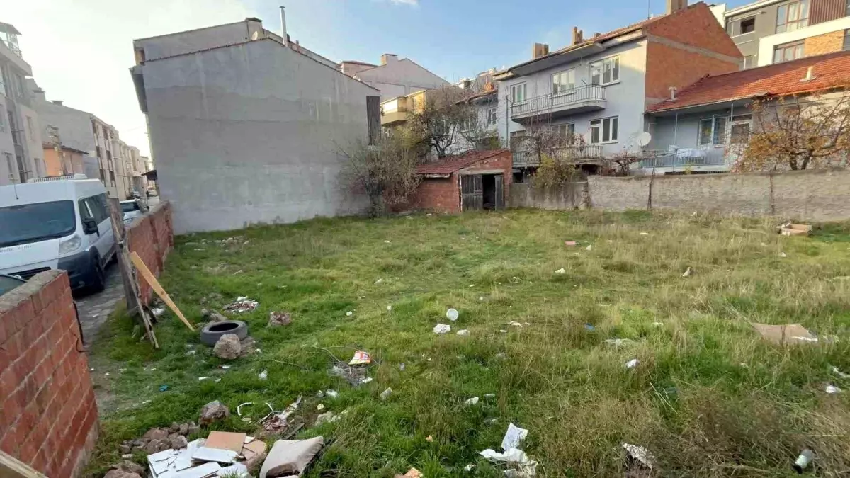 Eskişehir’de Boş Arsada 8 Kedinin Gizemli Ölümü Şok Yarattı