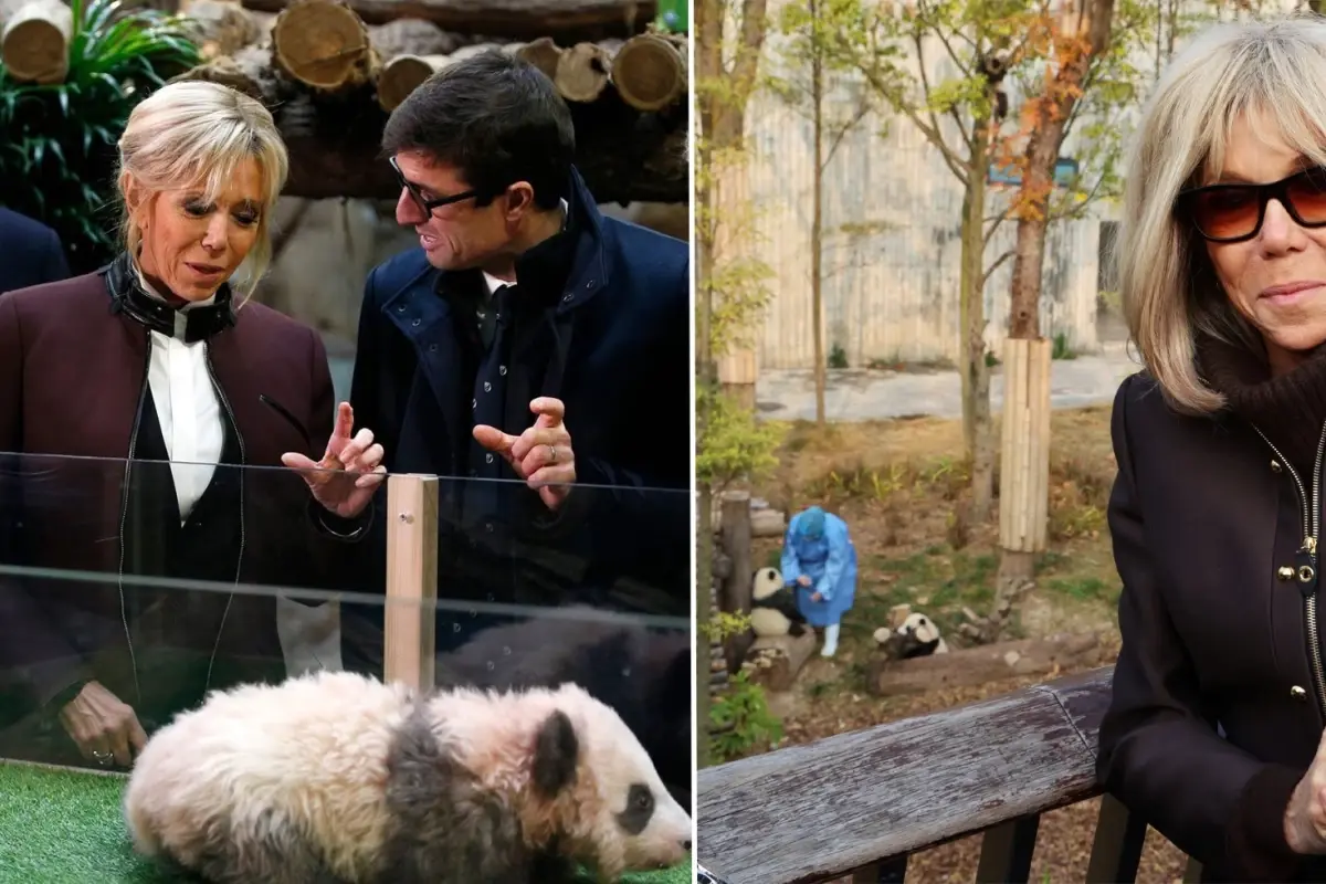 First Lady Macron, eski dostu panda ile Çin’de buluştu