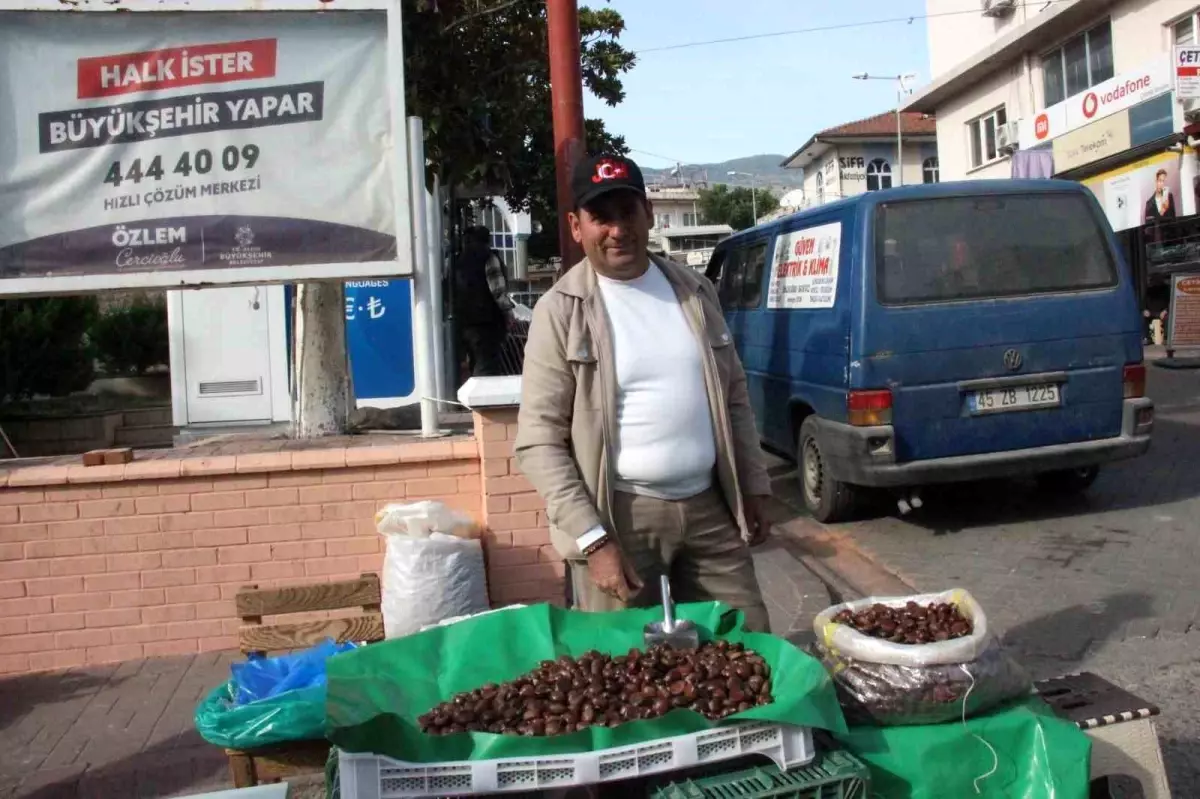 Aydın’da Kestane Hasadı Başladı