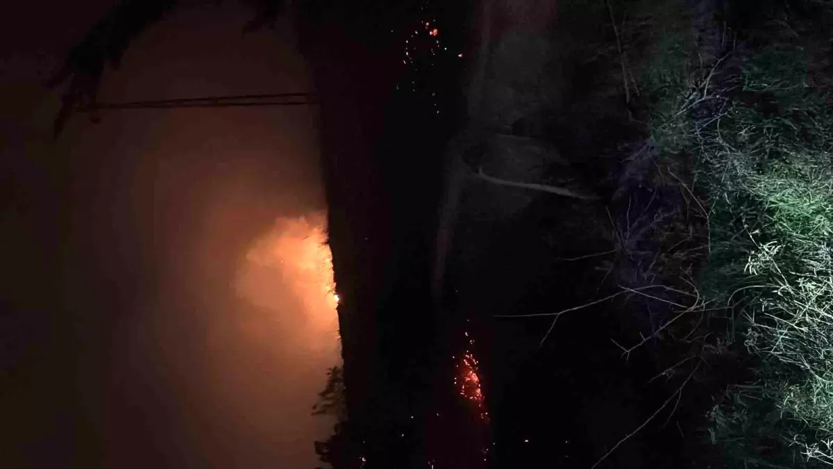 İskenderun’da Otluk Yangını Kontrol Altına Alındı