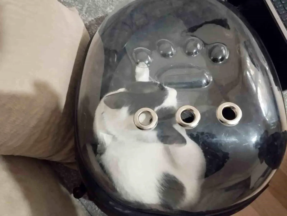 Kayseri İtfaiyesi, Havalandırma Boşluğuna Düşen Tofu’yu Kurtardı