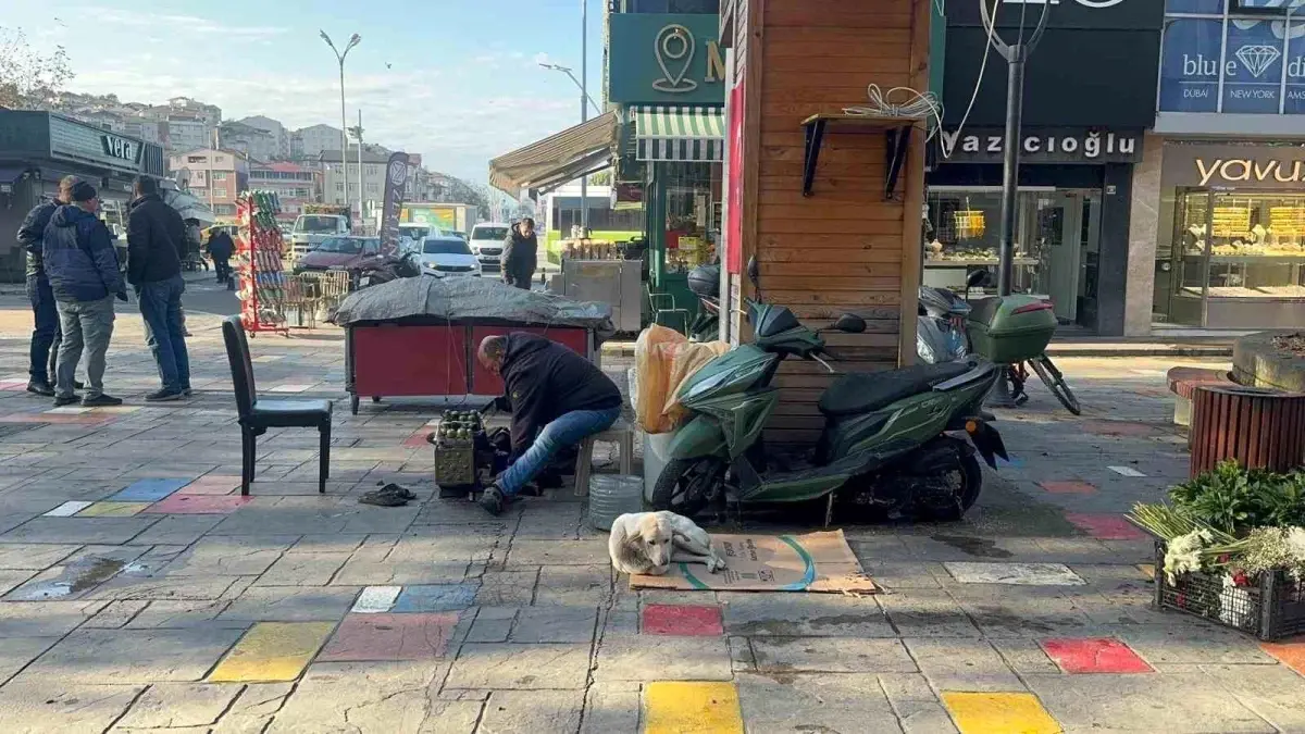 Hayata tutunan engelli köpeğe bebek gibi bakıyor