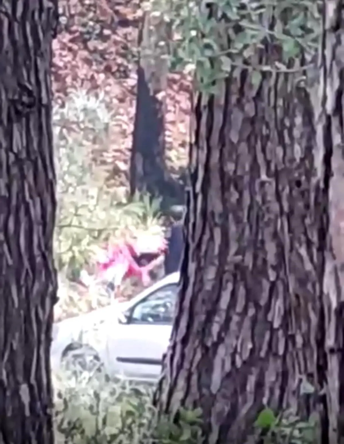 Buca’da Kadına Saldırı Anbean Kaydedildi