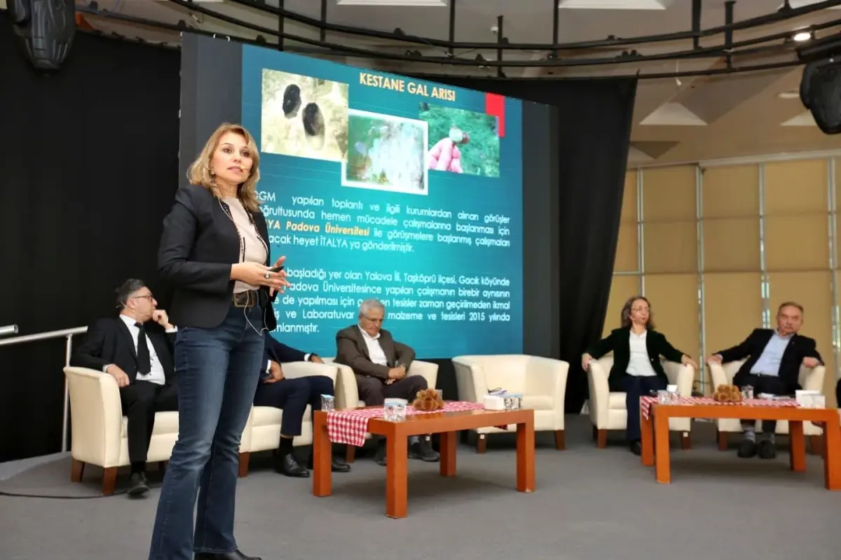 Kestane Büyükşehir’le Filizleniyor: Bursa’nın Simge Ürünü Yeniden Hayata Geçiyor