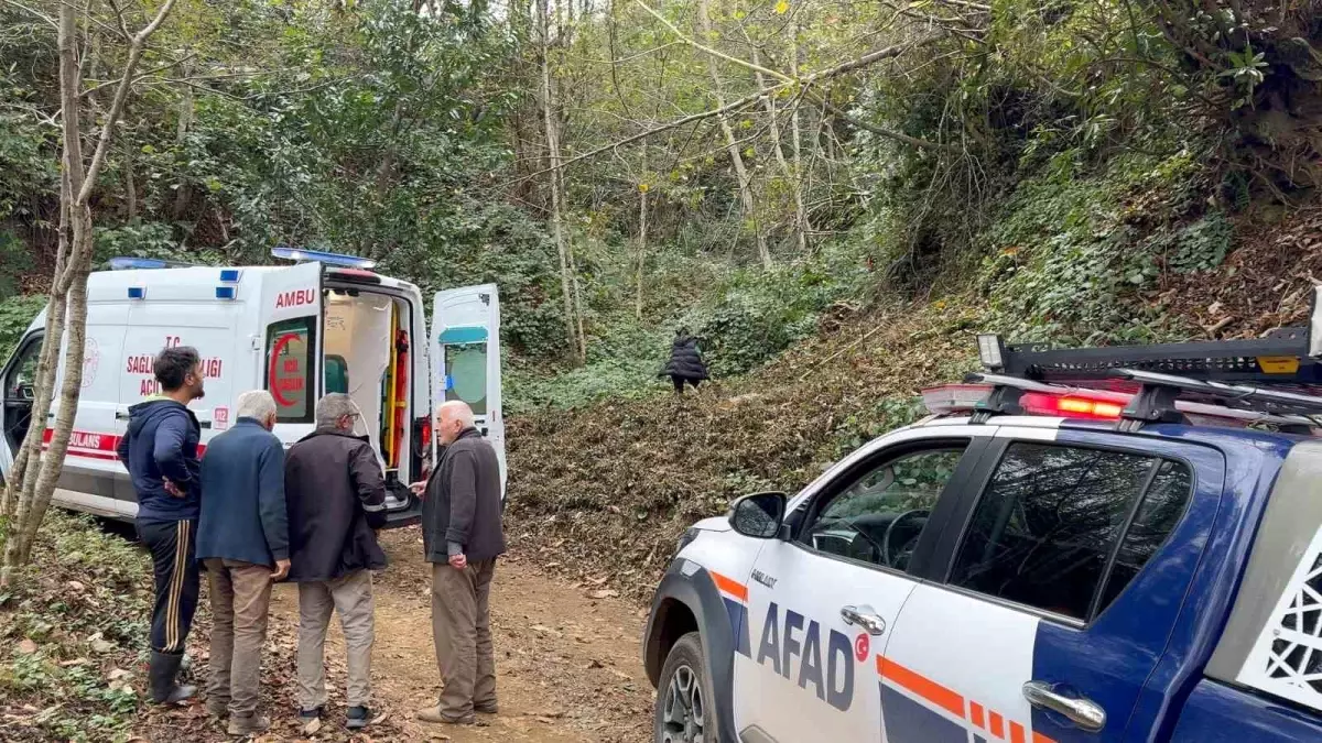 Rize’de Ağaç Kesimi Şoku