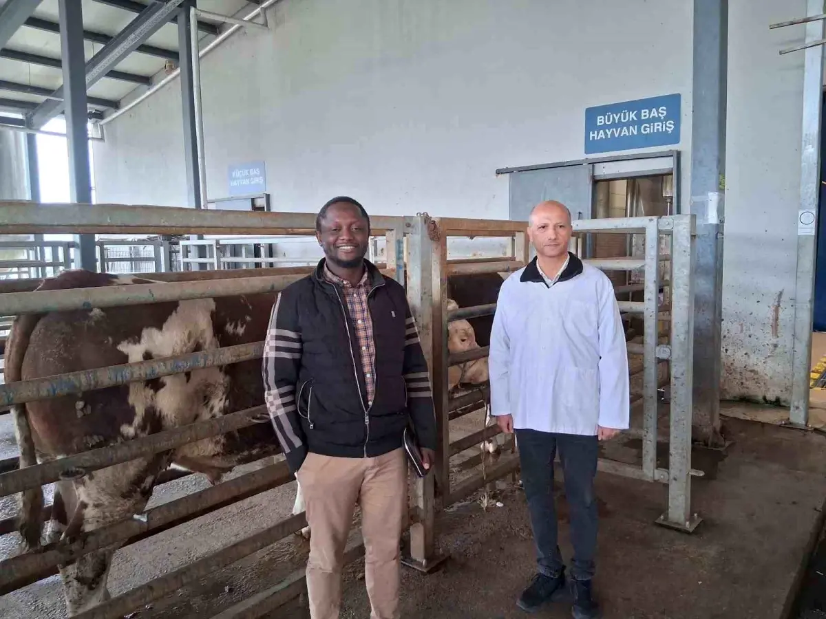 Kocaeli’deki mezbaha tesisi İslam ülkelerine örnek gösterildi