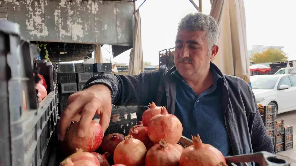 Siirt’te Zivzik Narında Verim Düşüşü: Kuraklık Meyve Hasadını Yarı Yarıya Azalttı