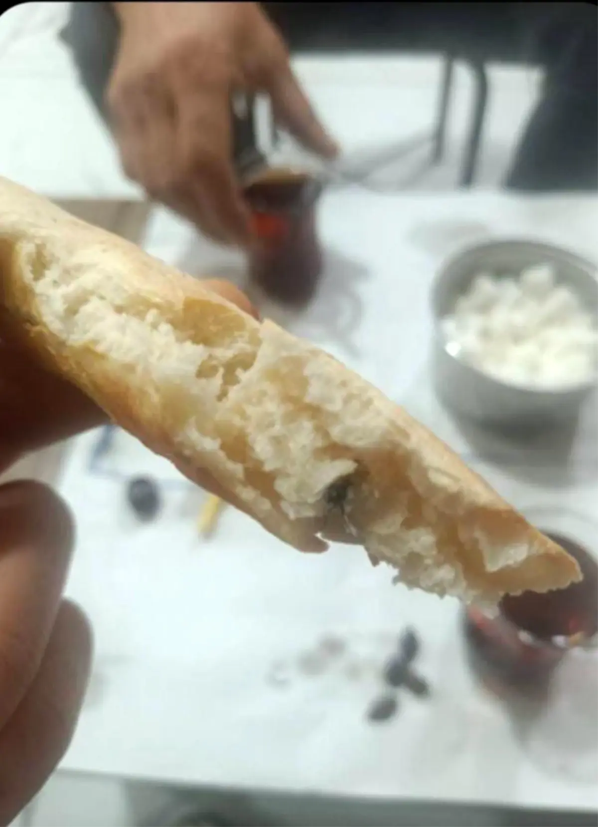 Kurtalan’da Ekmekten Sinek Çıktı