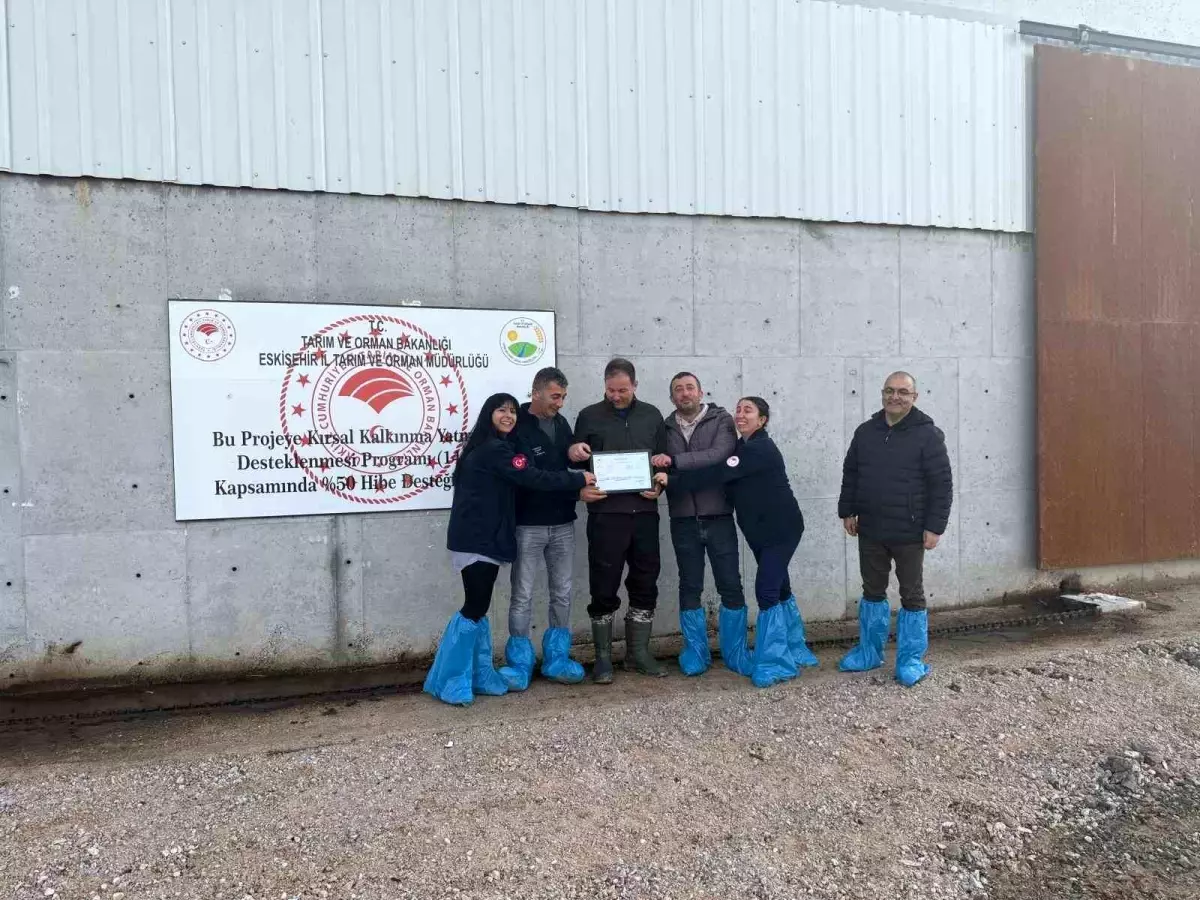Mahmudiye’de İlk Hastalıktan Ari İşletme Sertifikası Sahipliğine Kavuşan Çiftlik