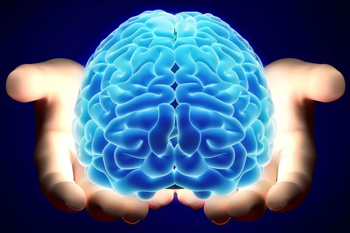 Nörologlar Beyin İçin En Zararlı 6 Gıdayı Açıkladı – Sağlığınızı Tehdit Eden Gıdalar Hangileri?