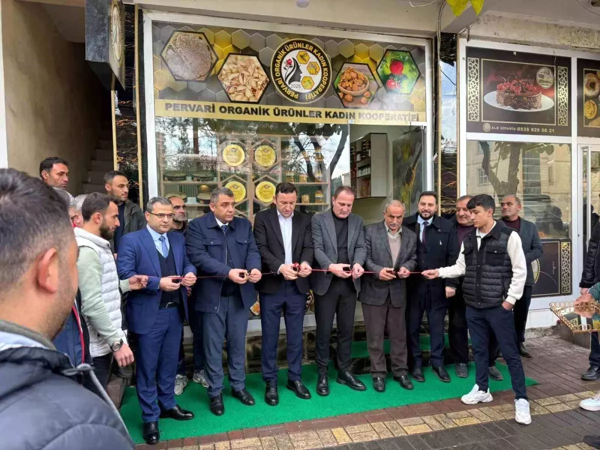 Siirt’te Kadın Kooperatifi Kuruldu: Pervari’da 12 Kadın Bir Araya Geldi