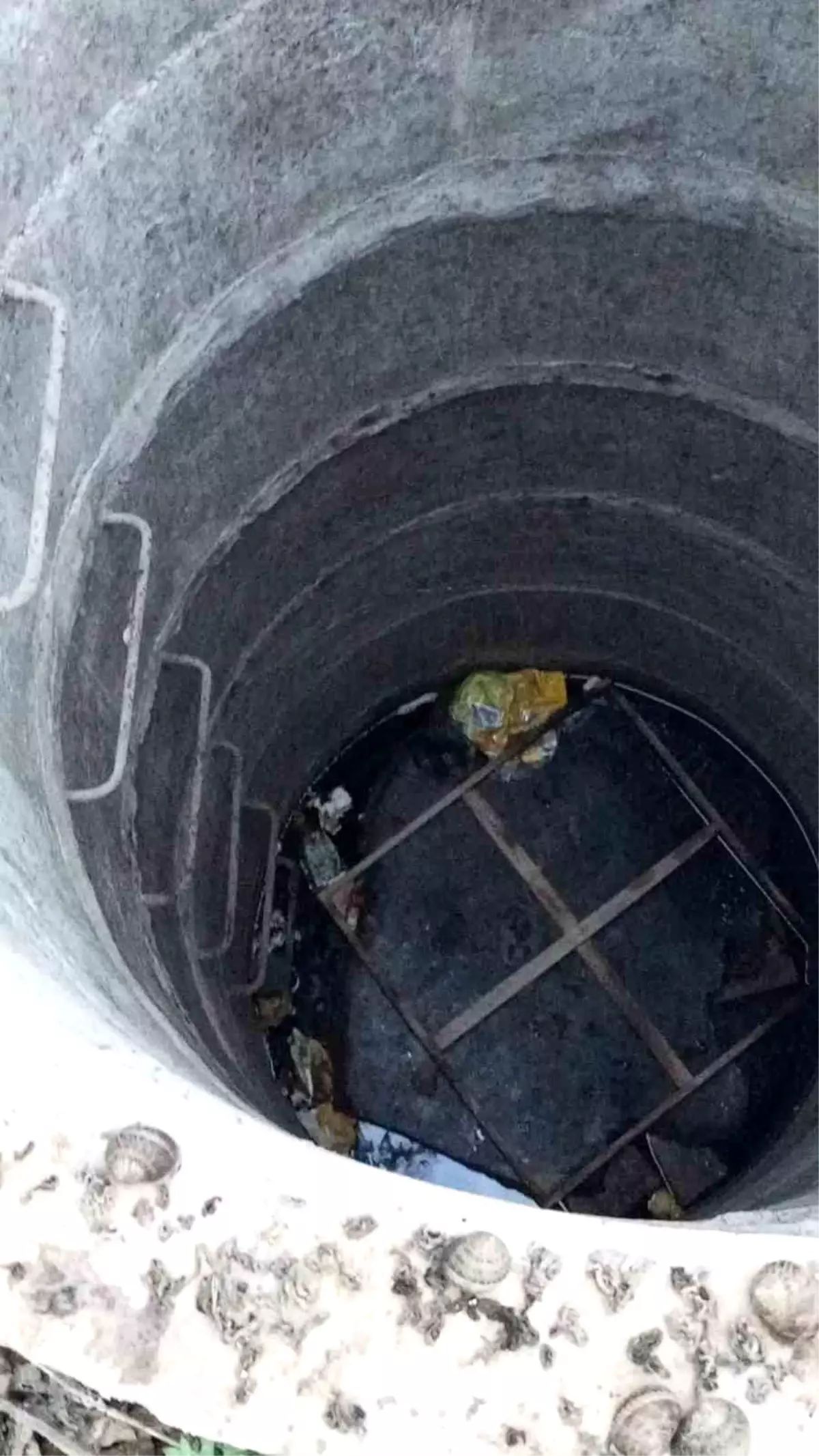 Antakya’da Yavru Kedi Su Kuyusundan Kurtarıldı