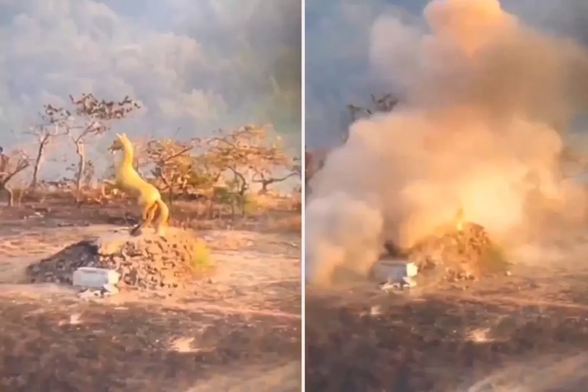 Tayland ve Kamboçya’nın Çatışması Savaş Eşiğine Geldi! Altın At Anıtı Yok Edildi