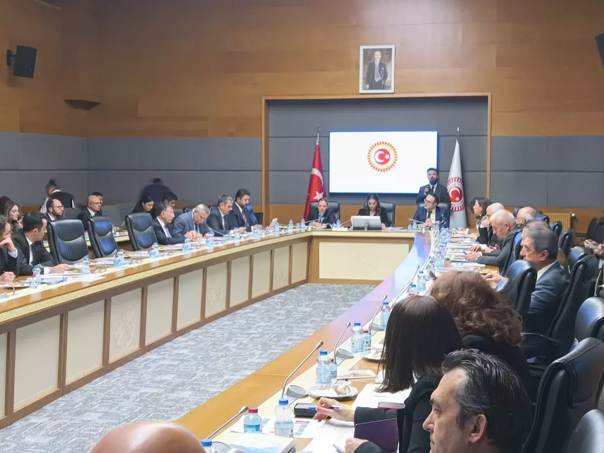 Engellilerin Sorunları TBMM’de Detaylı Bir Şekilde Ele Alındı