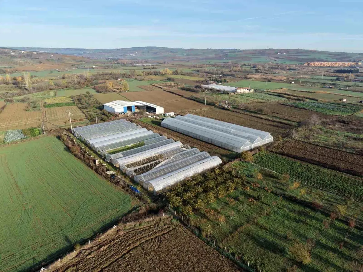 Tekirdağ’da 70 Futbol Sahası Büyüklüğünde Sera Naylonu Dağıtıldı: Tarımcılar Yeni Döneme Hazır