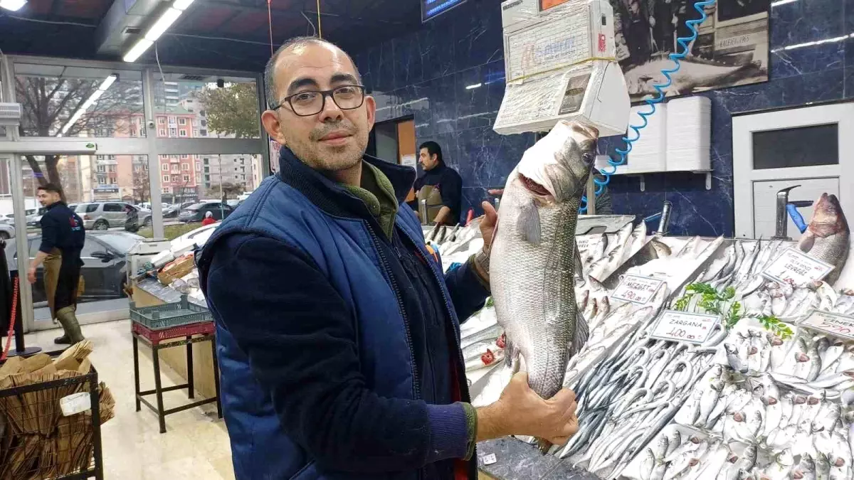 Kayseri’de Hamsi Bolluğu: Palamut Azaldı, Fiyatlar Dalgalanıyor