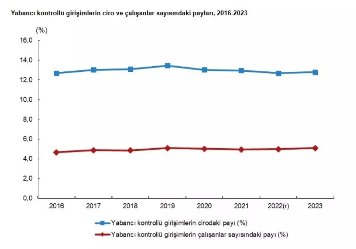 Yabancı Kontrollü Girişimlerde Rekor Artış: TÜİK 2023 Verileri Açıklandı