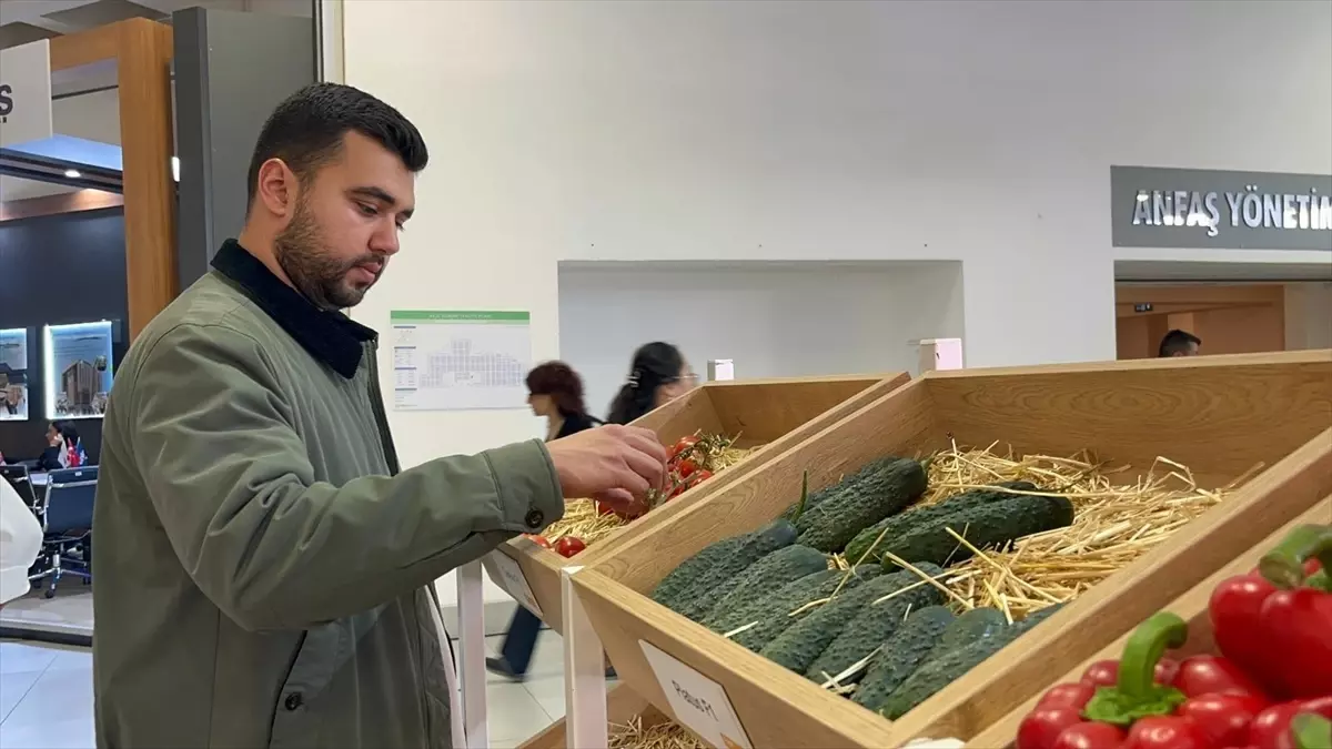 Tohum İhracatında Türkiye Lider Konuma Geldi