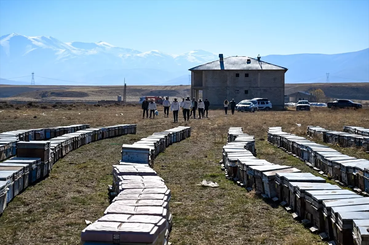 Van Balı Altın Ödülle Şampiyon Oldu: Gürpınar’ın Çok Çiçekli Balı Uluslararası Kongrede Birinci!