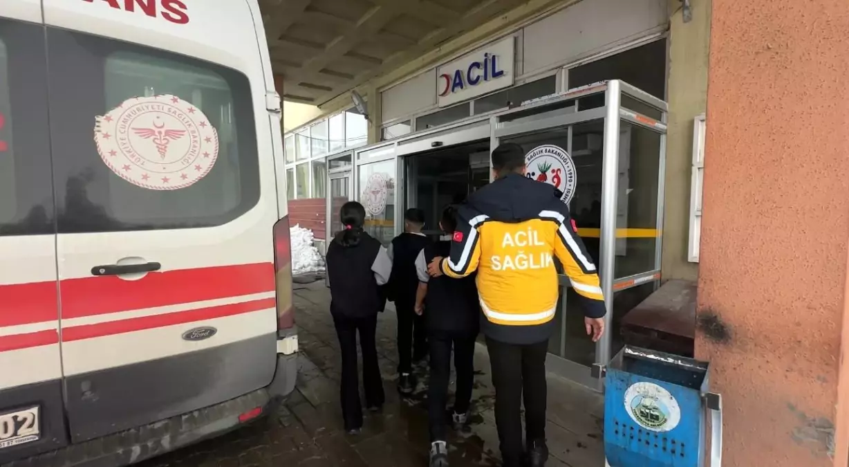 Yüksekova’da Yerli Malı Haftası’nda Gıda Zehirlenmesi Şüphesiyle Yaklaşık 40 Öğrenci Hastaneye Kaldırıldı