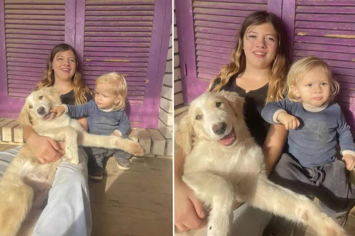 Yunanistan’da pitbull dehşeti: 2 yaşındaki çocuk hayatını kaybetti