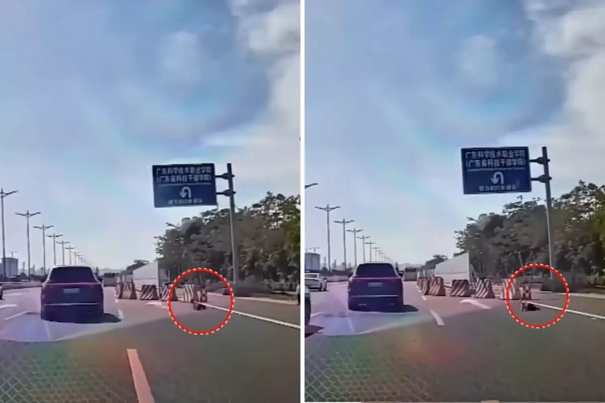 YÜREKLERİN AĞIZLARA GELDİĞİ AN! KÜÇÜK ÇOCUK EMekleyerek OTObana ÇIKTI